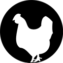 Poulet